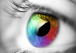 Coloured Contact Lenses